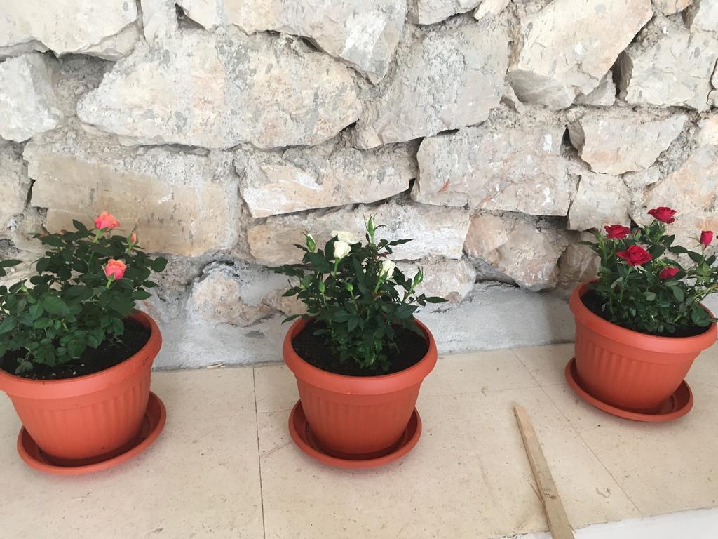 Apartments Petra Tribunj  Ngoại thất bức ảnh